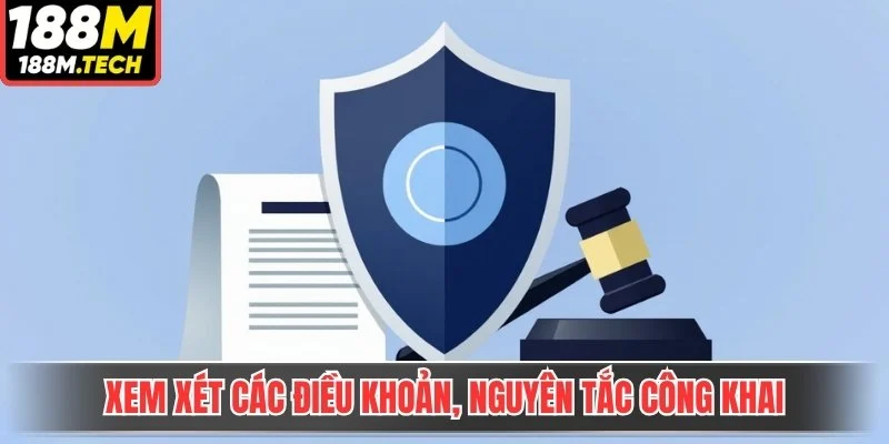 Xem xét các điều khoản, nguyên tắc công khai