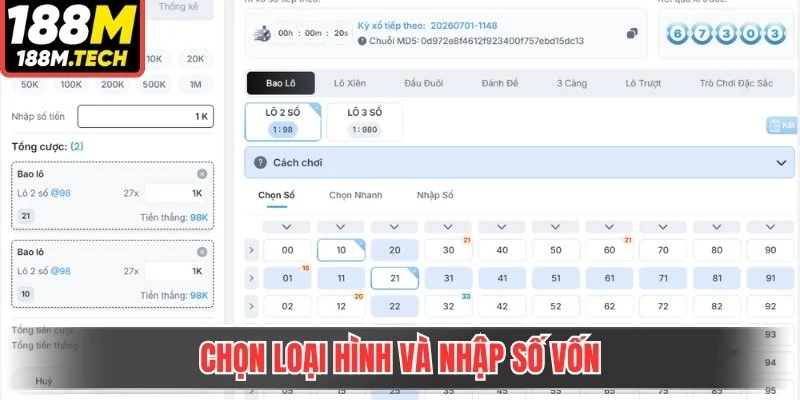 Chọn loại hình và nhập số vốn